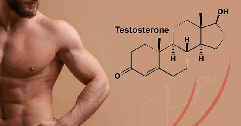 Vai trò của Testosterone và các yếu tố hormone