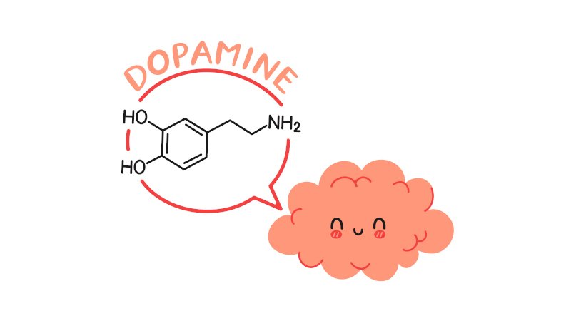 Dopamine và cảm giác nhận được phần thưởng