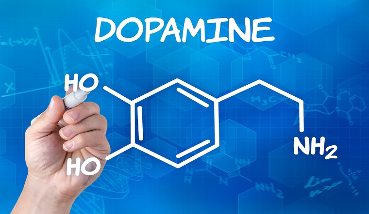 Hormone hạnh phúc thường được nhắc đến dopamine, serotonin, oxytocin và endorphin.