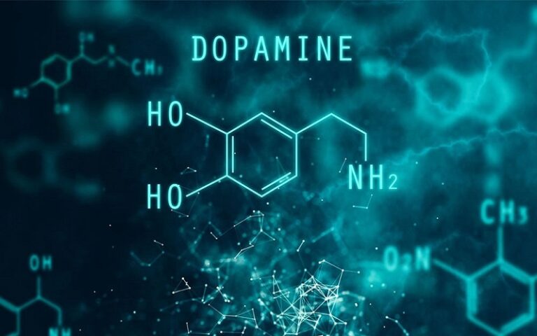 Hormone hạnh phúc: Giải mã cảm giác "trúng số" trong bộ não con người