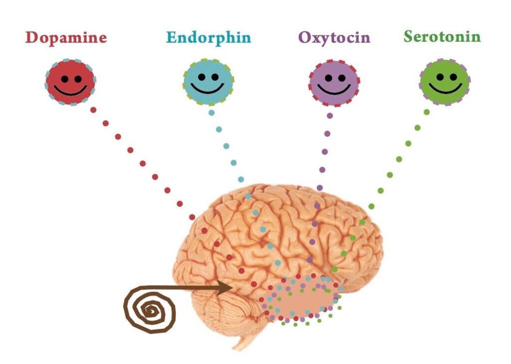 Serotonin, oxytocin và endorphin có vai trò gì?